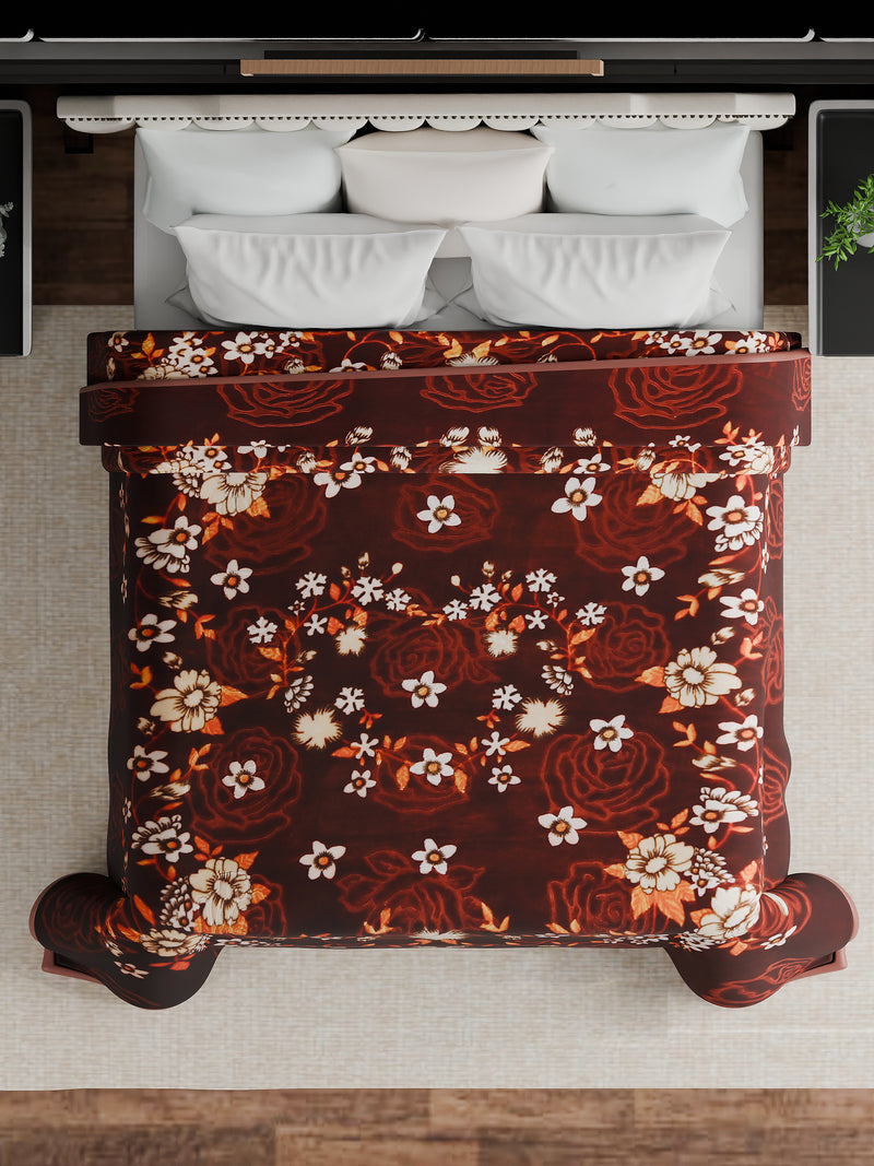 Luxury Modern Printed King Blanket 2.5 kg (Brown)