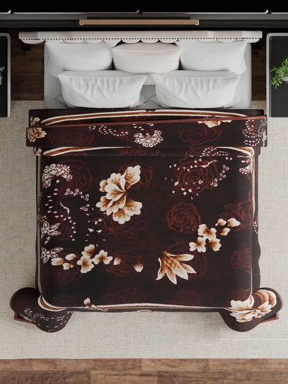 2.5 kg Premium Brown & 12