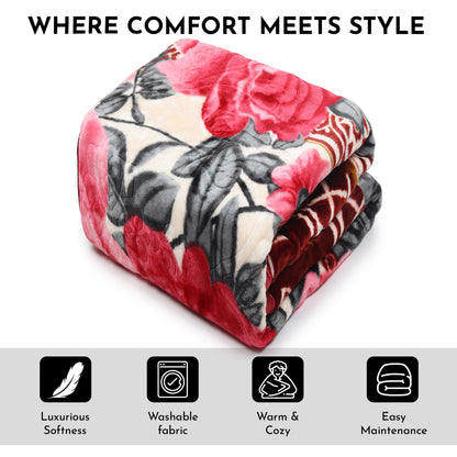 2.5 kg Premiumulticolor