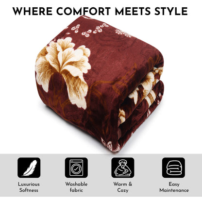 2.5 kg Premium Brown & 12